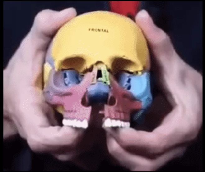 F3CC3DA3 586E 4276 BE8D EE1BCD20C0BE