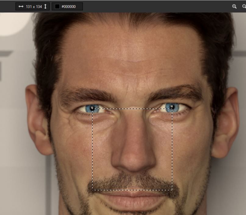 Gandymidface