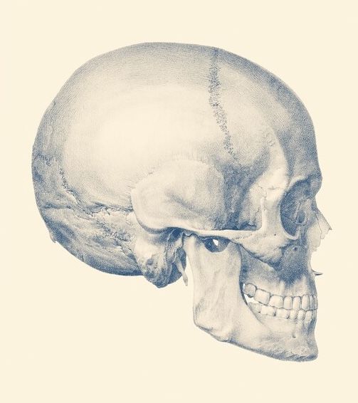 EB27D8DC 7D42 49E3 97BF F9217F3C8C41