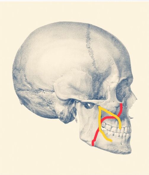 7B4E0164 082B 4809 81F0 145BD3FA70A1