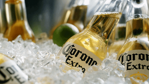 Corona Corona