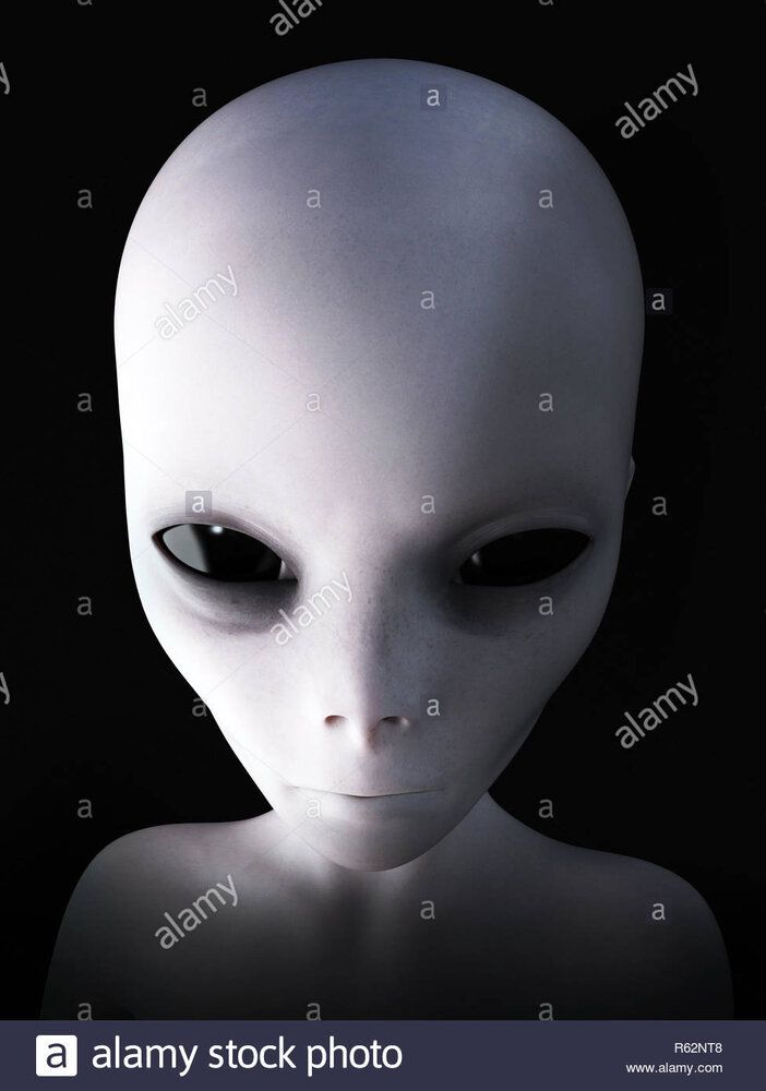0D3A22DC 8AFB 4439 8D28 B1C6059D5F14