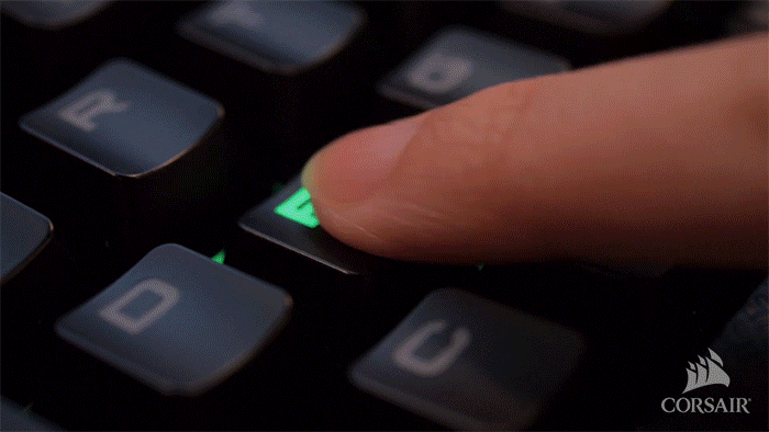 927CA6E9 2555 495C 979B 908852614E85