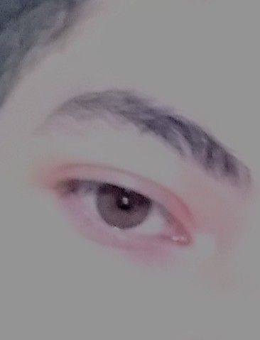 IMG 20191120 0010378213