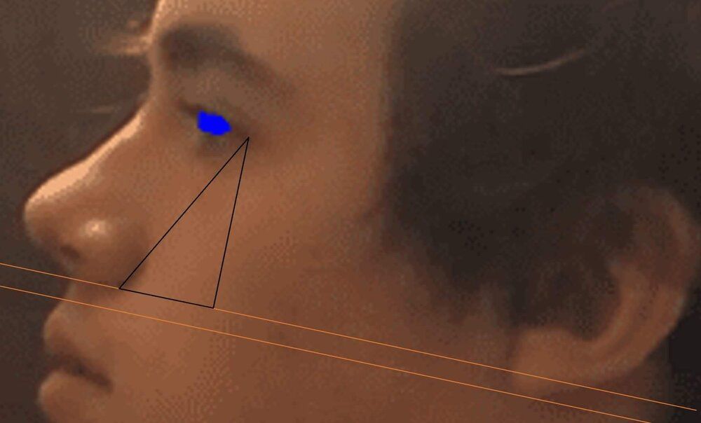 Bfbb6829033