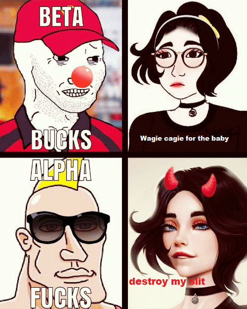 Buy now i made a beta bucks alpha fucks via 68084454