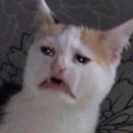 1572