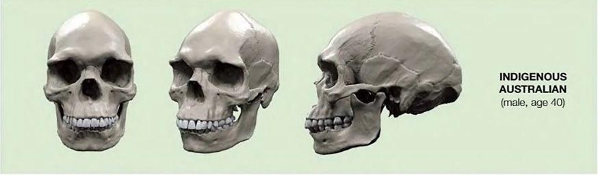 CE8A72BC E79E 4316 BBC5 AF6B18DD6623