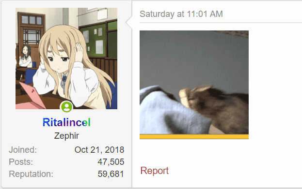 1586706358087