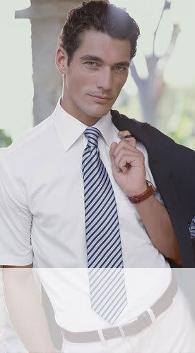 4580F31C D1DD 4A89 8EBA 2F23A336B78F