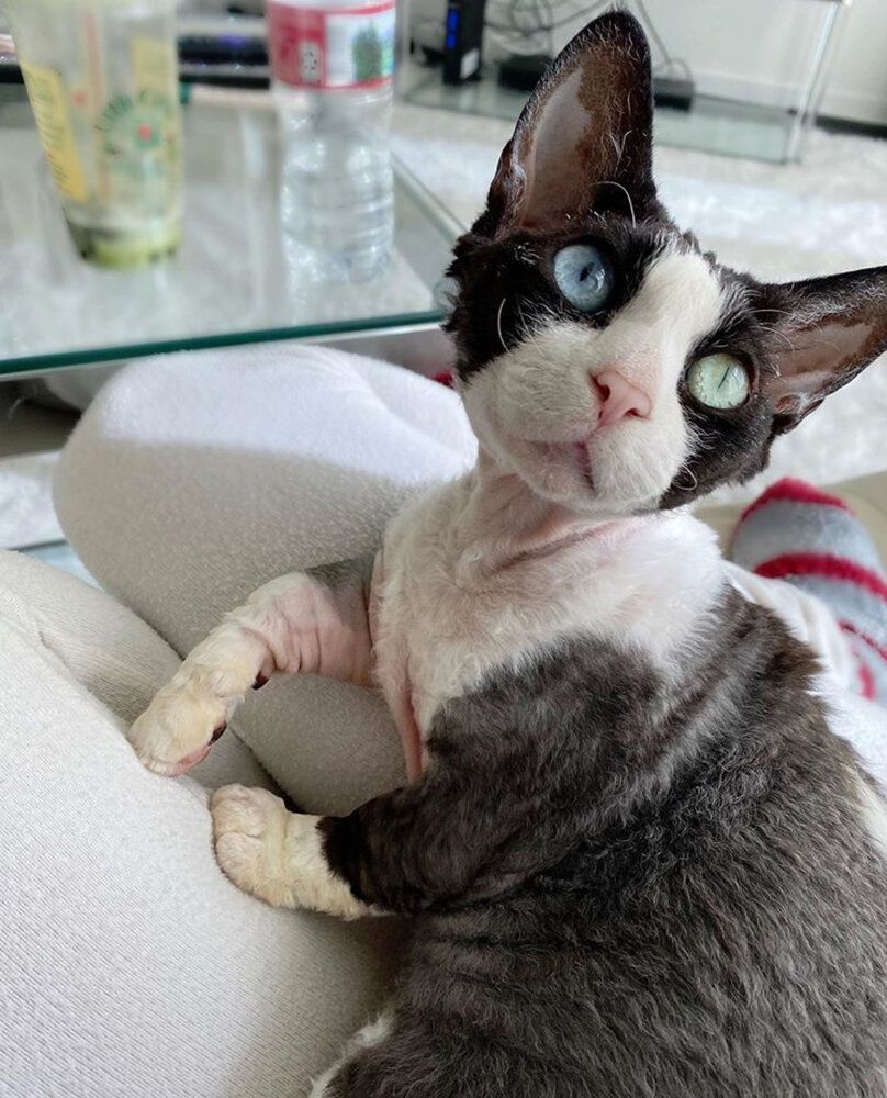 09A0C7A0 348E 48DC B3E6 2F8FF022F3AD