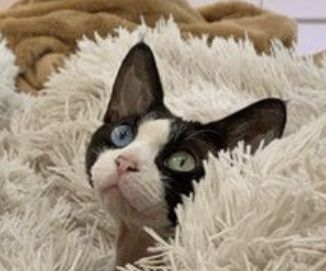 44AE7196 0A07 4D8D B9B3 CFC333ABE1CE