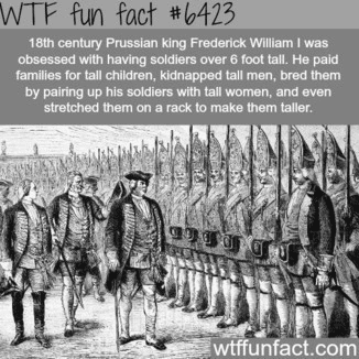 1586772740014