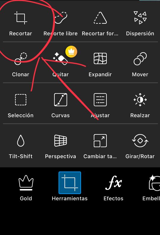 881920D9 A06D 471E B48A 092EC5FEA56E