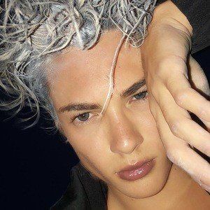 Celma jared image