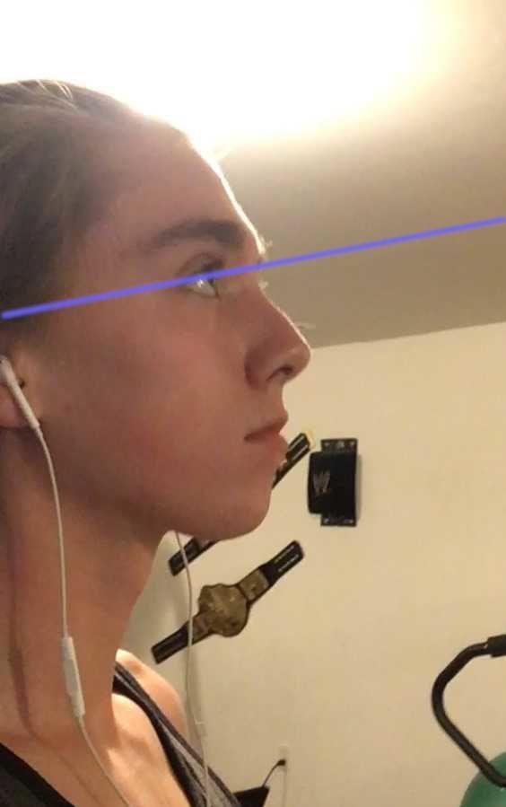 Mewingfraud2