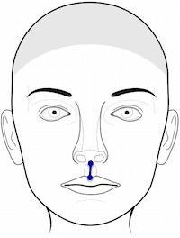 Screenshot 2020 04 14 3D Facial Norms Summary Statistics FaceBase1