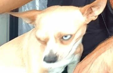 Screenshot 2020 04 14 at 220204