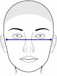 Screenshot 2020 04 15 3D Facial Norms Summary Statistics FaceBase