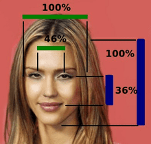 220px Jessica Alba Face Proportions