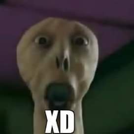 XD
