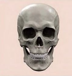 3D0DD736 8569 41B7 9526 86AC7966F3ED
