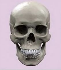 C416244C 890E 434F A428 938EFFA8067B
