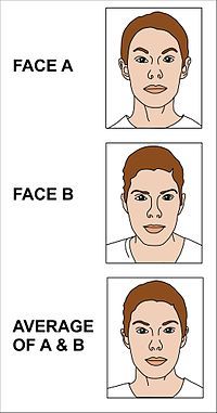 Average of two faces 2