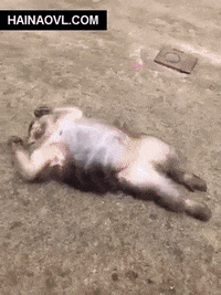 B873D03E 2A7C 4143 AE2E 91248E746532