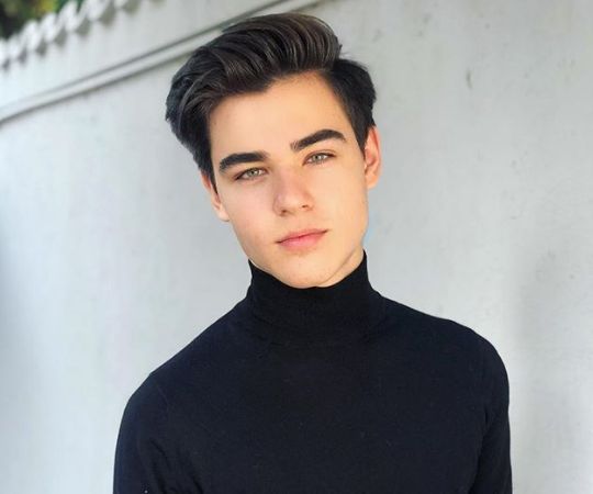 Radu stefan banica 5