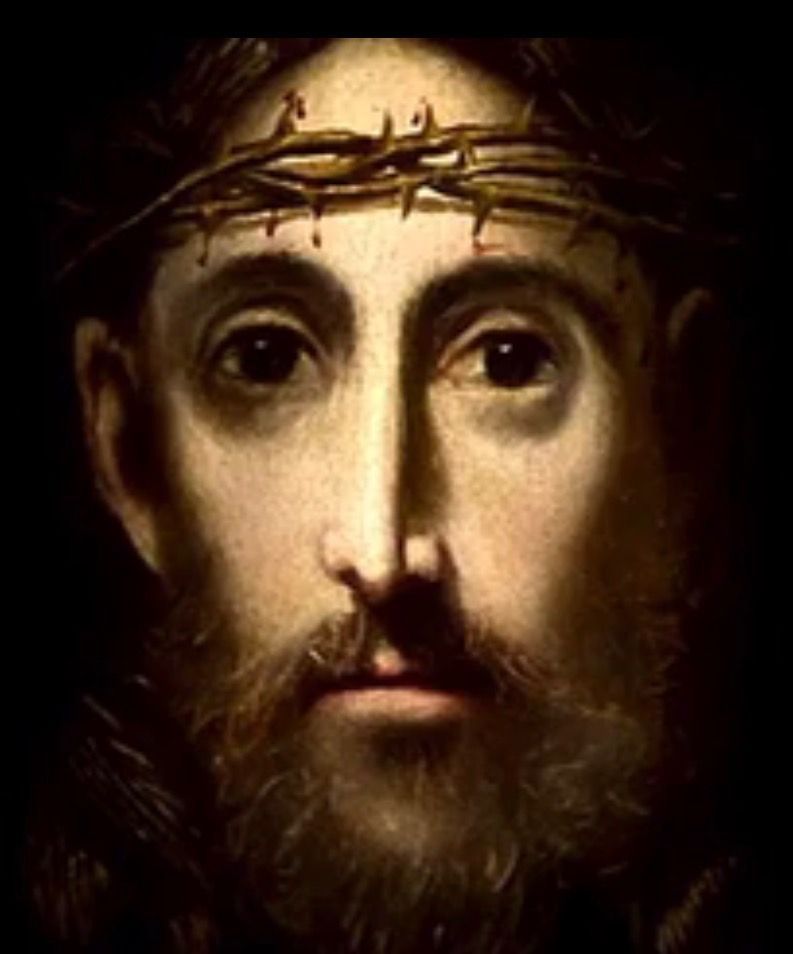 8A707DA3 7BDA 4A27 817A 61DF9C0BD95A