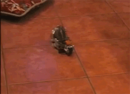 8566787