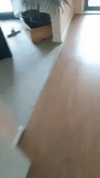 1587265574009