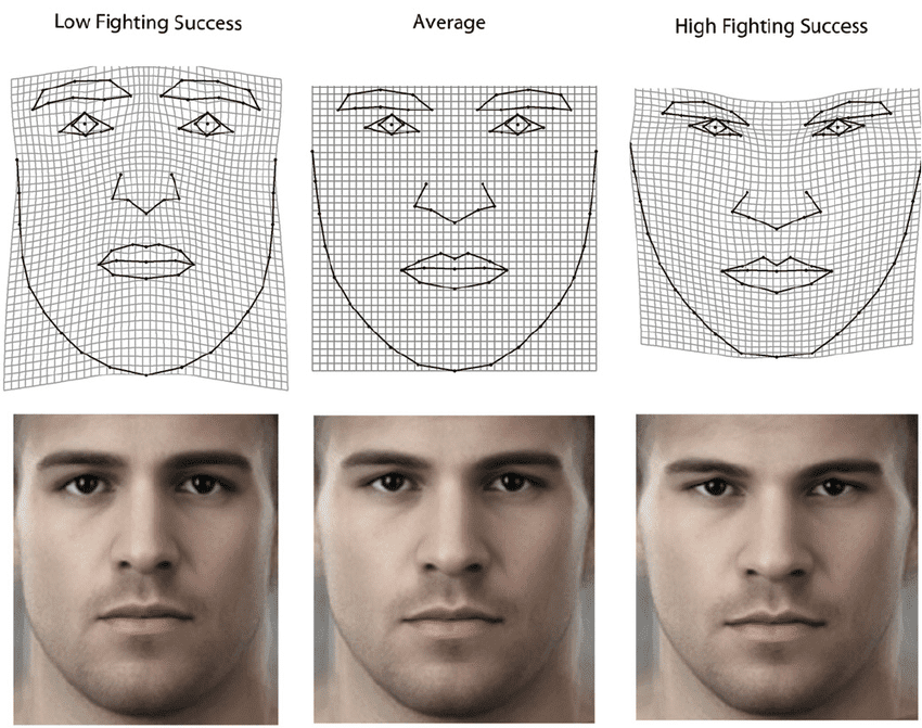 Visualization of the shape regression on fighting success by thin plate
