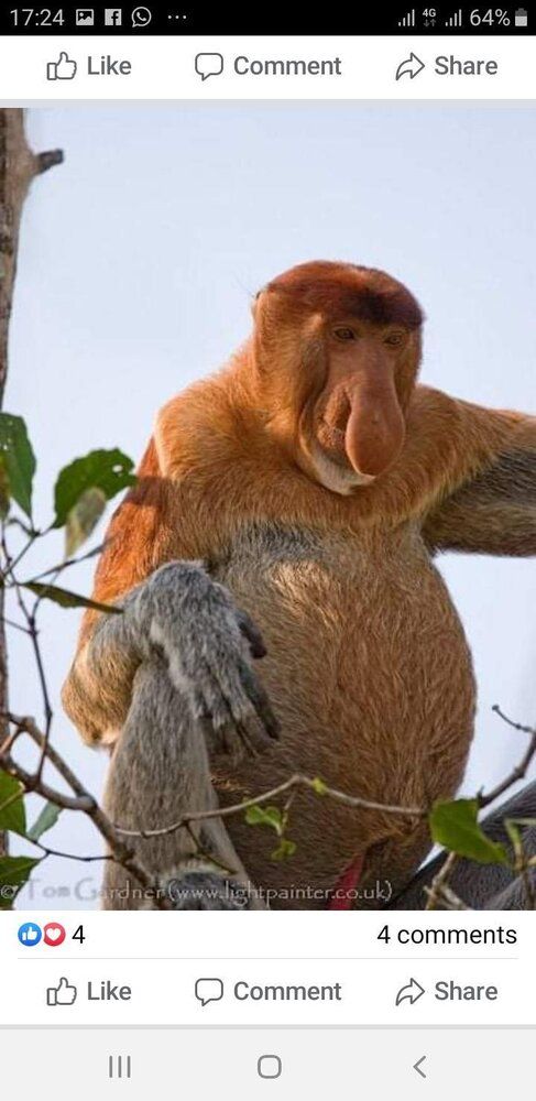 IMG 20200313 181957 350