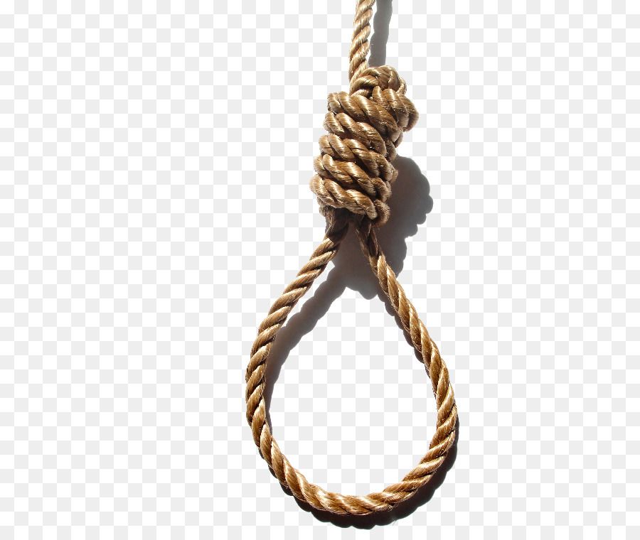 Kisspng suicide by hanging knot noose suicide by hanging horse grass rope 5a928ce70402d422676