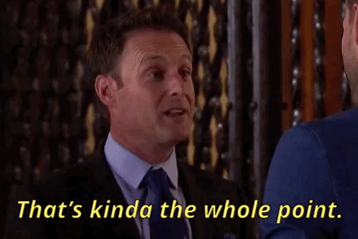 262E5E3A C9D8 4DA7 9EF2 649B0A10E62F