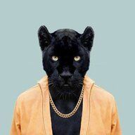 8FFD3CAC 34BF 460C 9F77 AE8C3ED6F3CE