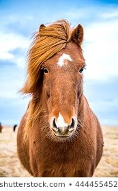 F51E25BF 2BAF 4BC7 82FF 2387E6E15055