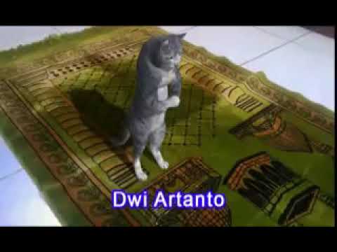 AB5E6BEF 04DD 4938 BDFD E8E72C7EC6D6