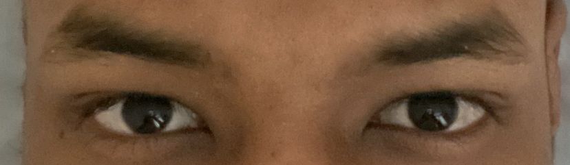 6AA5FEBB 54E3 43FD 99E5 E55C0A37A480