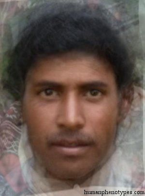 Todam