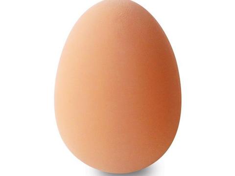 Egg