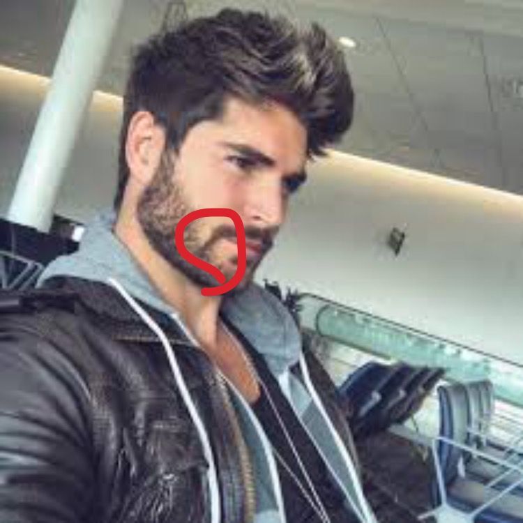 CCB3D6D4 FAF5 4985 BB2C EF3A3431FDF4