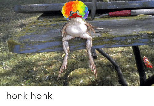 Honkvarl