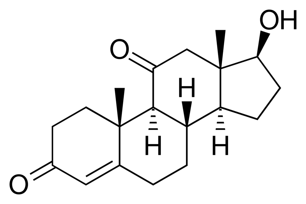 67F48D92 ECD1 4226 937E 59C27729ACC3