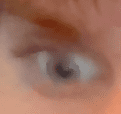 1588033087716