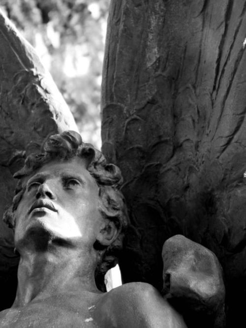 20F5535C D17A 407C A6CD F099766187FF