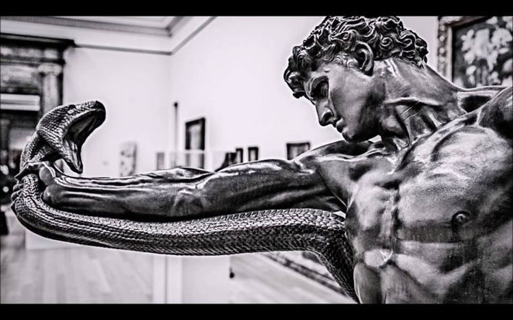 A8DBC2ED 2B05 4F3C 97B7 627A88C4F555