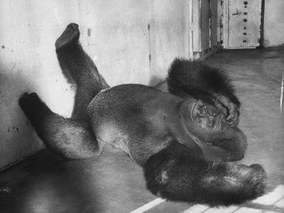 FE4A7C43 D1F5 47F8 9981 34AE2809957E